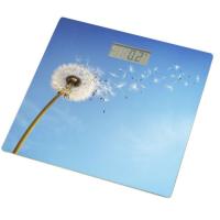 Весы напольные Grunhelm BES-BLB Фото