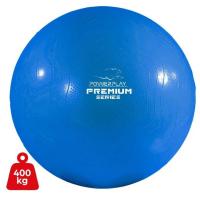Мяч для фитнеса PowerPlay 4000 Premium 65см Blue + насос Фото
