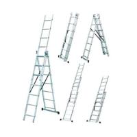 Лестница Werk универсальная LZ3210B (3х10) Фото