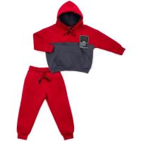 Спортивный костюм детский Cloise с худи на флисе Фото