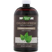 Травы Nature's Way Жидкий Хлорофилл, Liquid Chlorophyll, (не аромати Фото
