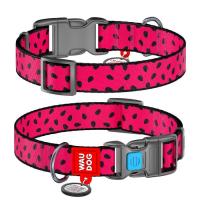 Нашийник для тварин WAUDOG Nylon "Кавун" пластиковий фастекс XXL Фото