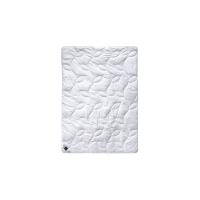 Одеяло Billerbeck E45 Bamboo Superlight 200x220 см Фото
