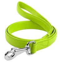 Поводок для собак WAUDOG Glamour кожаный M-XXL салатовый Фото