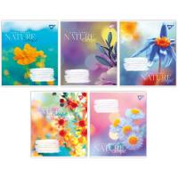 Зошит Yes А5 Nature colorful 96 аркушів лінія Фото