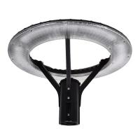 Светильник Lightwell LW-GL-50S Фото