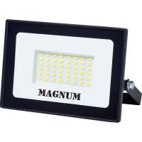 Прожектор MAGNUM FL12 ECO LED 50Вт slim 6500К IP65 Фото
