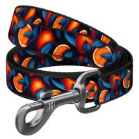 Повідець для собак WAUDOG Nylon "Апельсини" S, Ш 15 мм, Д 200 см Фото
