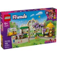 Конструктор LEGO Friends Кофейня с растениями и цветочный магазин и Фото