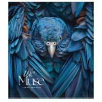 Зошит Школярик THE MUSE 48 аркушів клітинка Фото