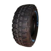 Шина Kapsen 265/70R16 LT 117/114Q RS25 Фото
