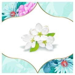 Ежедневные прокладки Discreet Deo Spring Breeze 60 шт. Фото 4