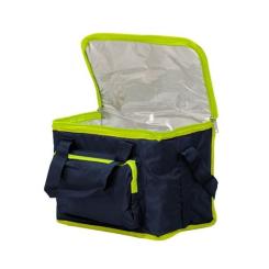 Термосумка Time Eco TE-3015SX 15л Blue/Green Фото 1