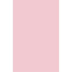 Бумага Buromax А4, 80g, PASTEL pink, 20sh, EUROMAX Фото 1