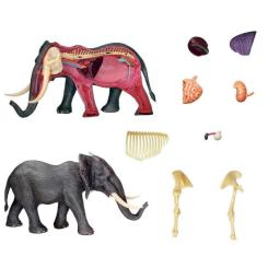 Пазл 4D Master Объемная анатомическая модель Слон Фото 2