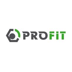 Воздушный фильтр для автомобиля Profit 1512-3062 Фото