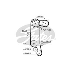 Ремень ГРМ Gates 5565XS Фото