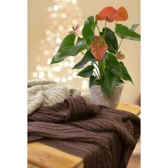 Плед Прованс Soft косы Моко 220х240 см Фото 3