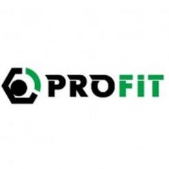 Воздушный фильтр для автомобиля Profit 1512-4282 Фото