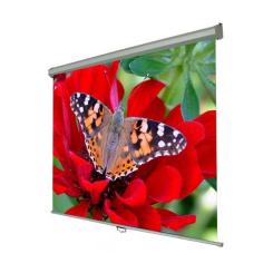 Проекционный экран Walfix SNM-2 Фото