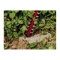 Кусторез Einhell ARCURRA (без АКБ и ЗУ) Фото 2