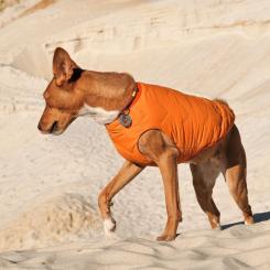 Жилет для животных Pet Fashion "E.Vest" М оранжевый Фото 2