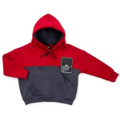 Спортивный костюм детский Cloise с худи на флисе Фото 1