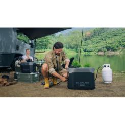Генератор EcoFlow Smart Gas Dual Fuel Фото 5