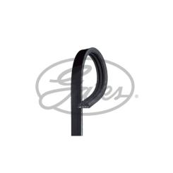 Поликлиновый ремень Gates 3PK783 Фото