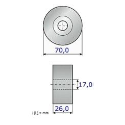 Ролик натяжителя ремня INA 531 0891 10 Фото 1