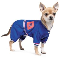 Дождевик для животных Pet Fashion Silver ХS2 Фото 1