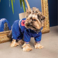 Дождевик для животных Pet Fashion Silver ХS2 Фото 2