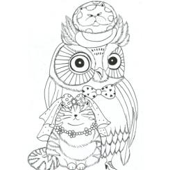 Книга Жорж Майже мільйон сов - Лулу Майо Фото 11