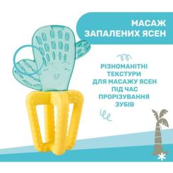 Прорезыватель Chicco Кактус Жовто-блакитний Фото 3