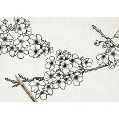 Лайнер Sakura Набор Pigma Micron 6шт, Черный Фото 2