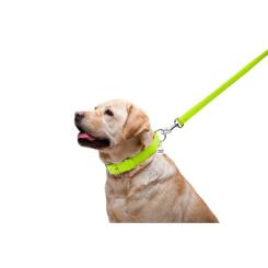 Поводок для собак WAUDOG Glamour кожаный M-XXL салатовый Фото 4