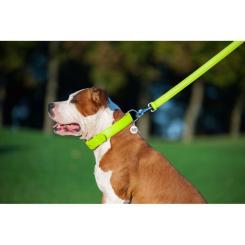 Поводок для собак WAUDOG Glamour кожаный M-XXL салатовый Фото 6