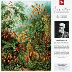 Пазл GoodLoot Imagination: Ernst Haeckel Muscinae 1000 элементов Фото 3