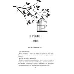 Книга КСД Спалах - Рейвен Кеннеді Фото 1