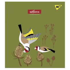 Тетрадь Yes А5 Avifauna 24 листов клетка Фото 1