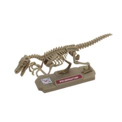 Конструктор Dino Valley "Дино" мини скелет динозавра Фото 3