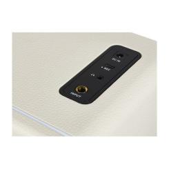 Комбоусилитель Mooer Hornet 15i White Фото 3