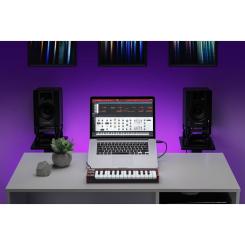 MIDI-клавиатура Akai LPK25 MKII Фото 5