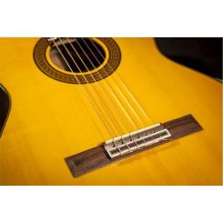 Гитара классическая Takamine GC5 NAT Фото 2