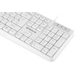 Клавиатура REAL-EL RK-513 USB White Фото 3