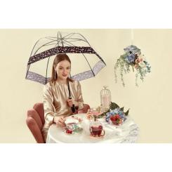 Зонт Fulton L866- Birdcage-2 Luxe Love Hearts Фото 1