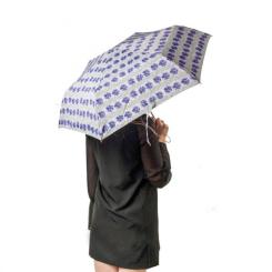 Зонт Fulton Superslim-2 L553 Tropical Stripe Фото 2