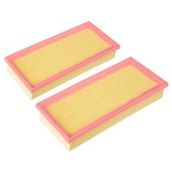 Воздушный фильтр для автомобиля Blue Print ADBP220055 Фото