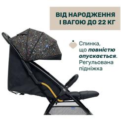 Коляска Chicco Glee Stroller, (8058664173594) Фото 5