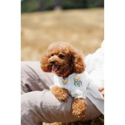 Футболка для животных Pet Fashion Maryana XS2 Фото 9